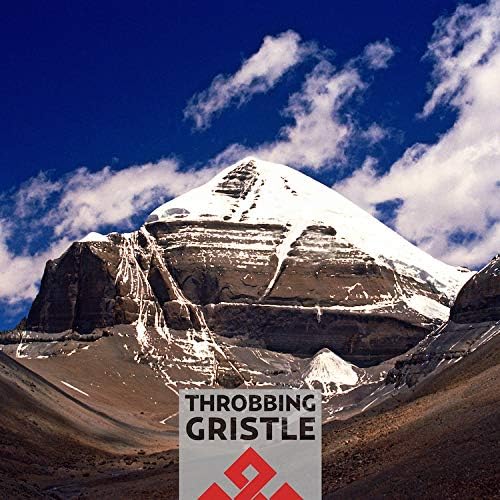 Throbbing Gristle Part 2: The Endless Knot + TG Now [2CD] Japan Music CD