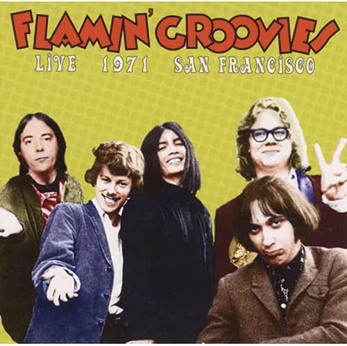 The Flamin' Groovies Live In San Francisco 1971 Japan Music CD