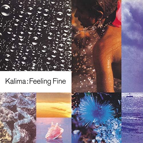 Calima Feeling Fine 2 bonus tracks Japan Music CD
