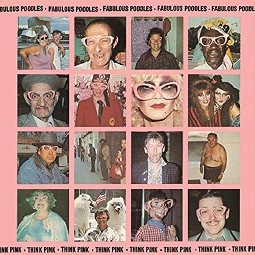 Fabulous Poodles sink pink Japan Music CD