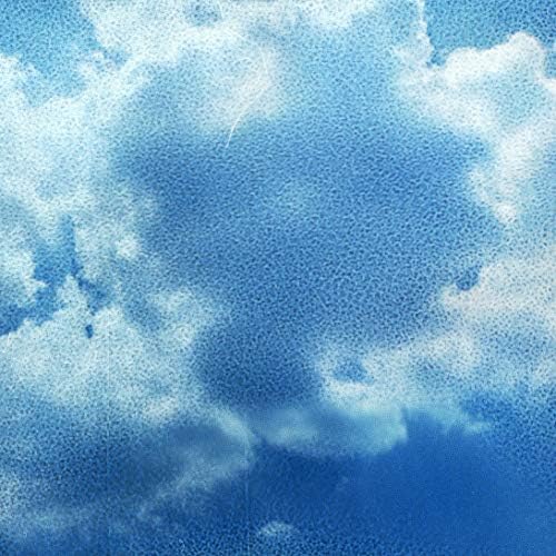 Jesse Harris Everlasting Day Japan Music CD
