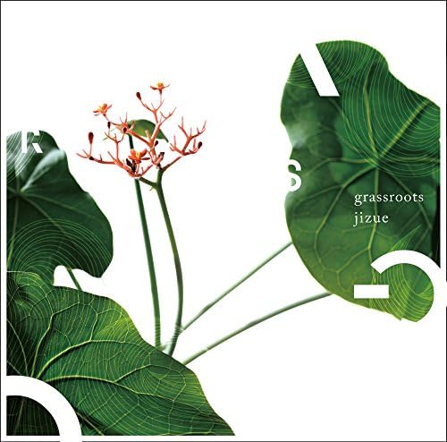 jizue grassroots Japan Music CD