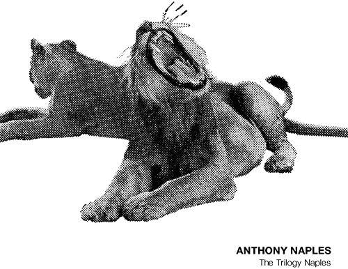 Anthony Naple The Trilogy Naples Japan Music CD
