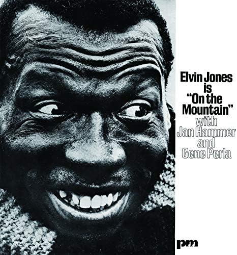 Elvin Jones On The Mountain Japan Music CD