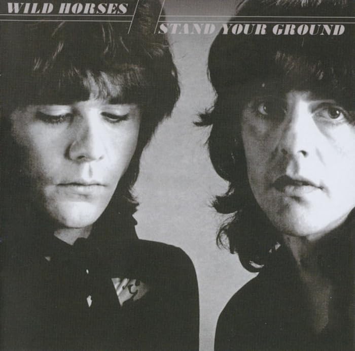 Wild Horses Stand Your Ground 2CD Deluxe Edition Japan Music CD