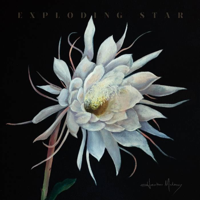 heather maloney Exploding Star Japan Music CD