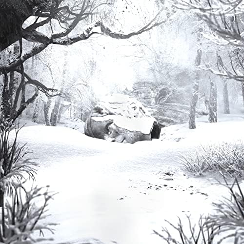 Weezer Seasons: Winter Japan Music CD
