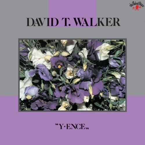 David T. Walker Lee Ensoo Japan Music CD
