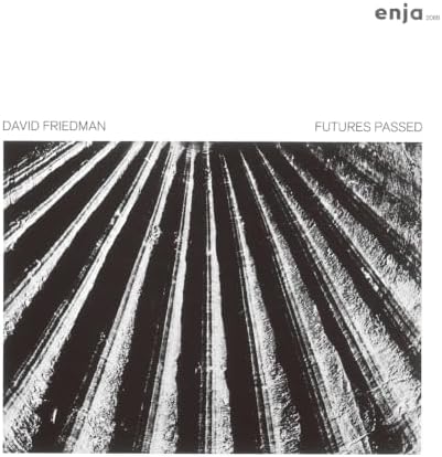 David Friedman Futures Past Japan Music CD