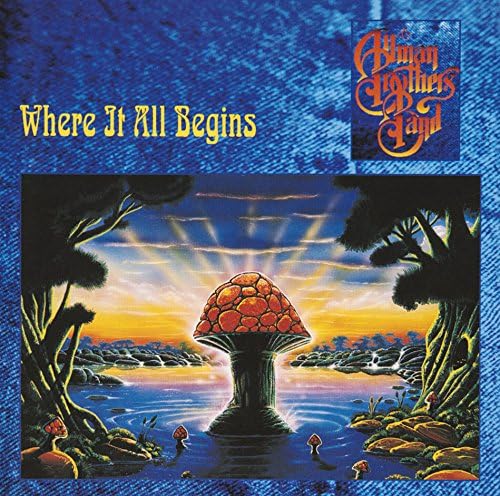 The Allman Brothers Band Where It All Begins Japan Music CD