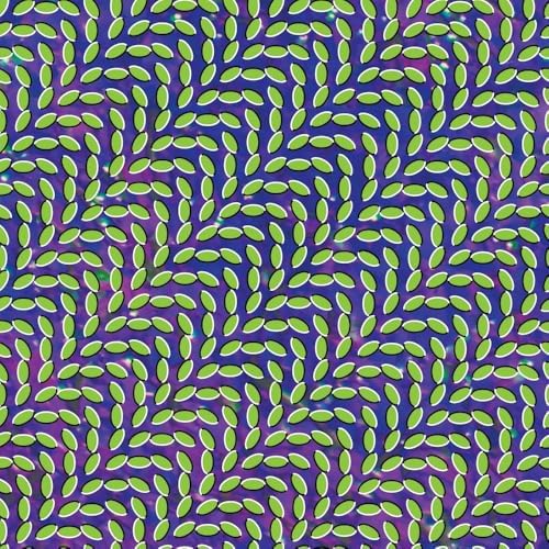 animal collective Merriweather Post Pavilion [Bonus Track] (BRC775) Japan CD