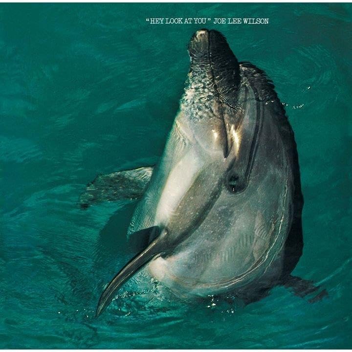 Joe Lee Wilson Hey Look At You (Limited Edition) Japan Music CD
