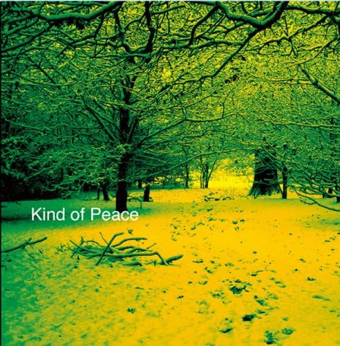 Pat D & Lady Paradox Kind of Peace Japan Music CD