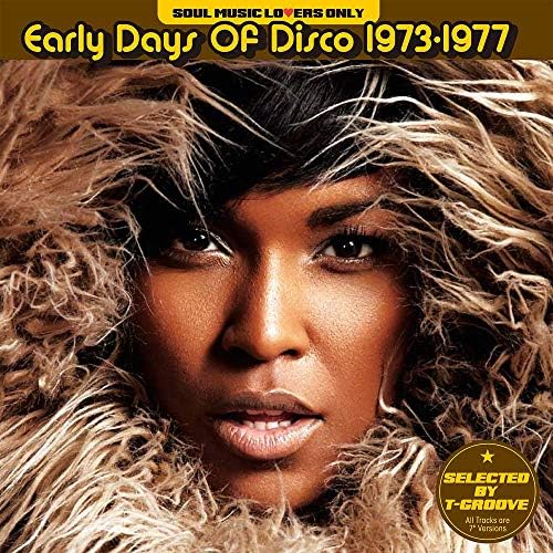 SOUL MUSIC LOVERS ONLY - EARLY DAYS OF DISCO 1973-1977 (SELECTED BY T-GROOVE)^