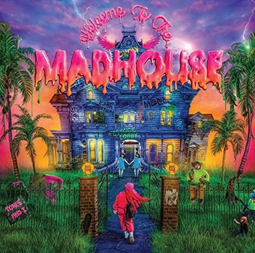 tones and i Welcome to the Madhouse Japan Music CD