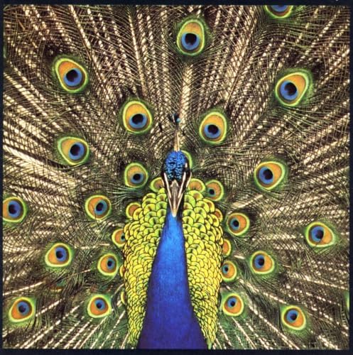 Bluetones Expecting to Fly (SHM-CD) Japan Music CD