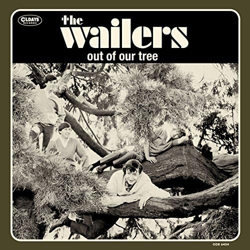 The Wailers Out of Our Tree Japan Music CD^