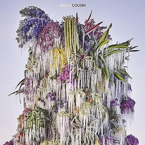 wilco Cousin Japan Music CD