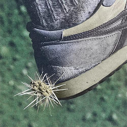 Los From Friends Tread [commentary and lyrics translation / bonus track included
