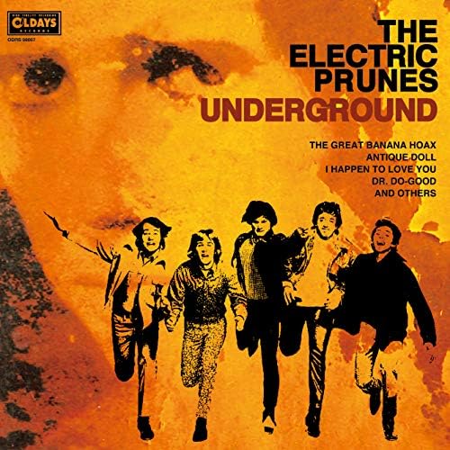 Electric Prunes Underground Japan Music CD
