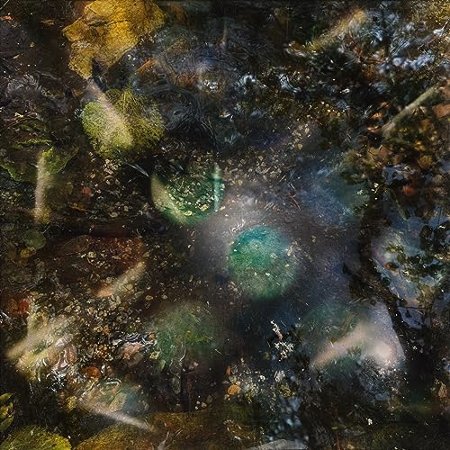 Green-House A Host for All Kinds of Life [ARTPL-204] Japan Music CD