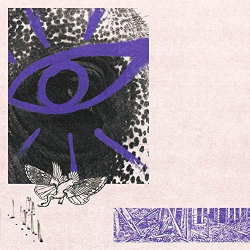 hippo campus LP3 Japan Music CD