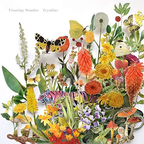 friadlus Floating Wonder Japan Music CD