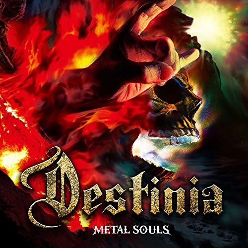 Nozomu Wakai's DESTI METAL SOULS Regular Edition Japan Music CD