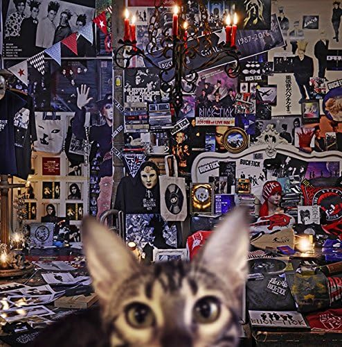BUCK-TICK CATALOGUE 1987-2016 (Regular Edition) Japan Music CD
