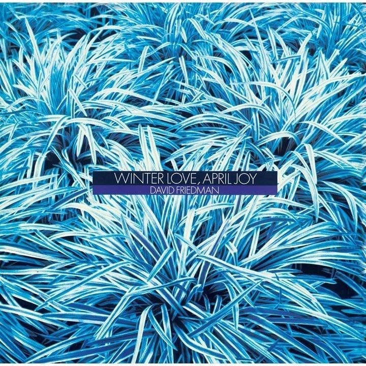 david friedman Winter Love, April Joy (Limited Edition) Japan Music CD